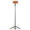 Tech-Protect Tech-Protect 152 cm Bluetooth MagSafe Selfiestick Tripod Svart