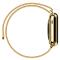  Milanese Loop Metall Armband Apple Watch 42/41/40/38 mm - Guld