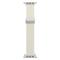 DUX DUCIS DUX DUCIS Apple Watch 38/40/41/42 mm Armband Flätat Starlight