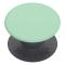 PopSockets PopSockets Basic Grip Pastell Mint