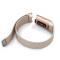  Milanese Loop Metall Armband Fitbit Charge 4/3 Champagne Guld