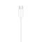 Tech-Protect Tech-Protect In-Ear Hörlurar USB-C UltraBoost Svart