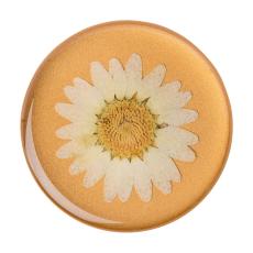PopSockets PopSockets Avtagbart Grip med St&auml;llfunktion Premium Pressed Flower White Daisy