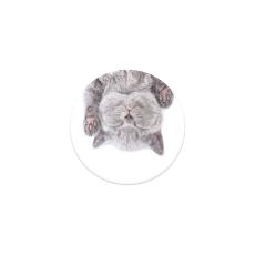 PopSockets PopSockets Avtagbart Grip med St&auml;llfunktion Cat Nap