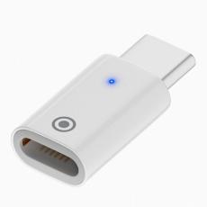  Lightning Hona - USB-C Hane Adapter F&ouml;r Apple Pencil 1st Gen