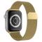 ColorPop ColorPop Milanese Loop Metall Armband Apple Watch 38/40/41/42 mm