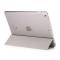  iPad Air / 9.7