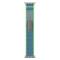 ColorPop Apple Watch 42/44/45/46/49 mm Armband Nylon Trail Loop Blå/Grön