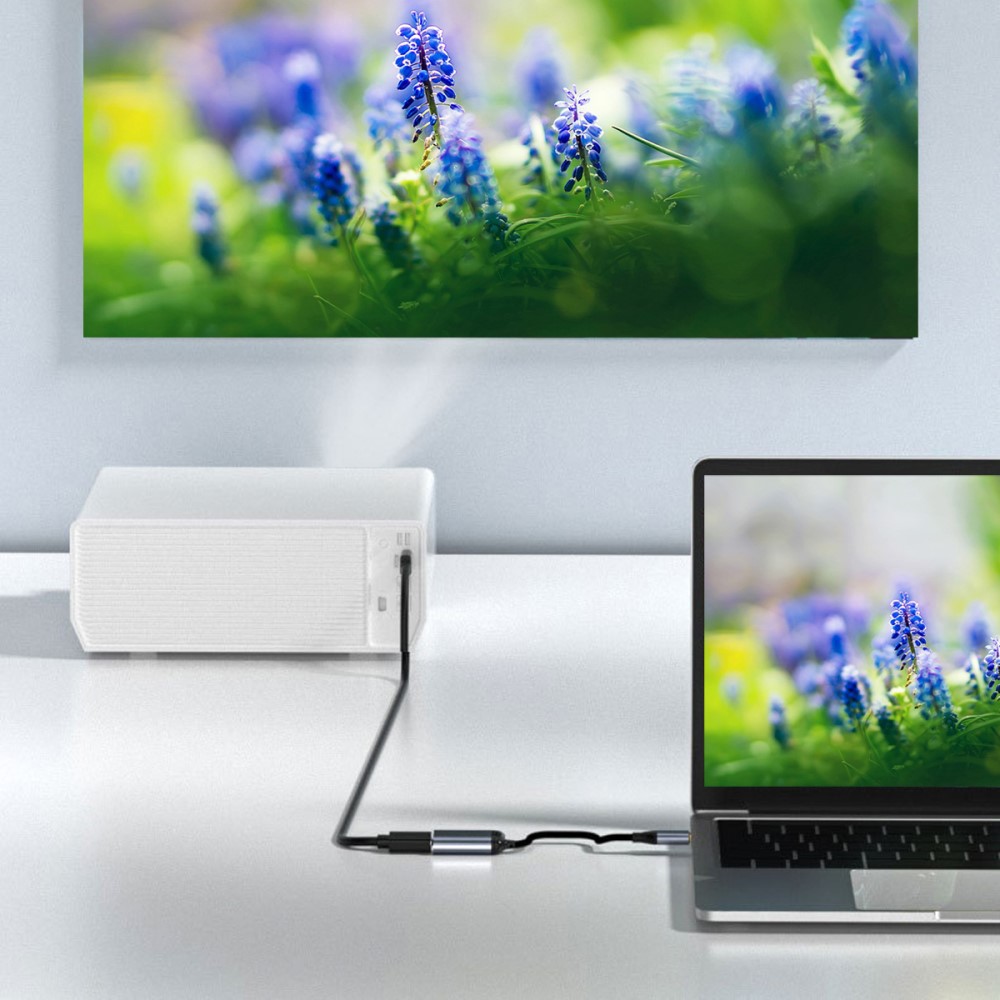  PD USB-C - VGA / HDMI 4K 60Hz 1080p Adapter