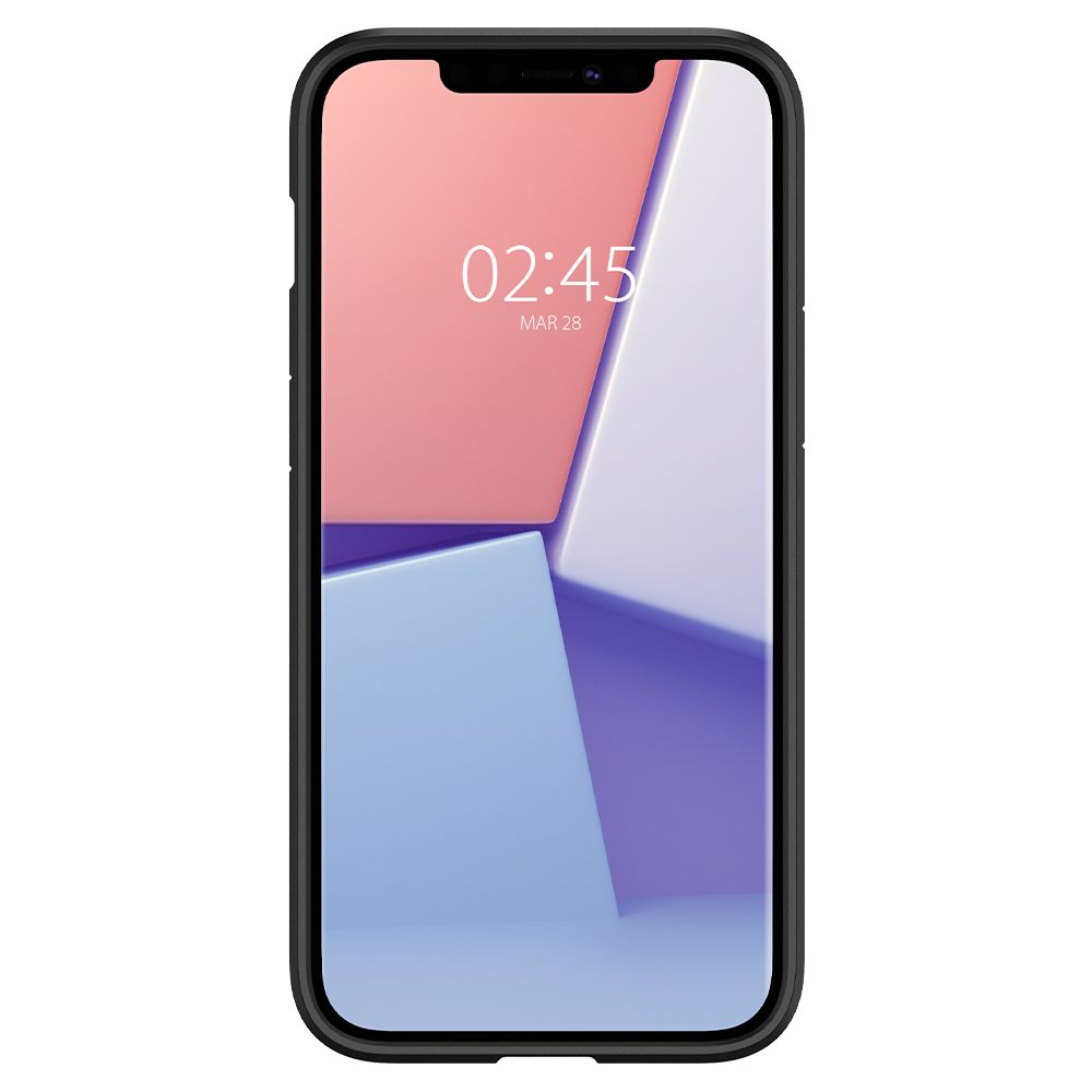 Spigen Spigen iPhone 12 / 12 Pro Skal Ultra Hybrid Matt Svart