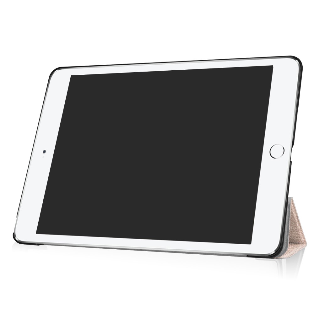  iPad 9.7