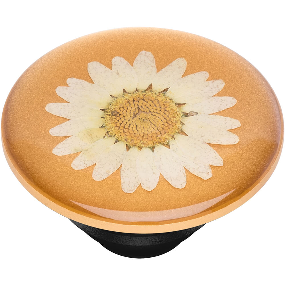 PopSockets PopSockets Avtagbart Grip med Ställfunktion Premium Pressed Flower White Daisy
