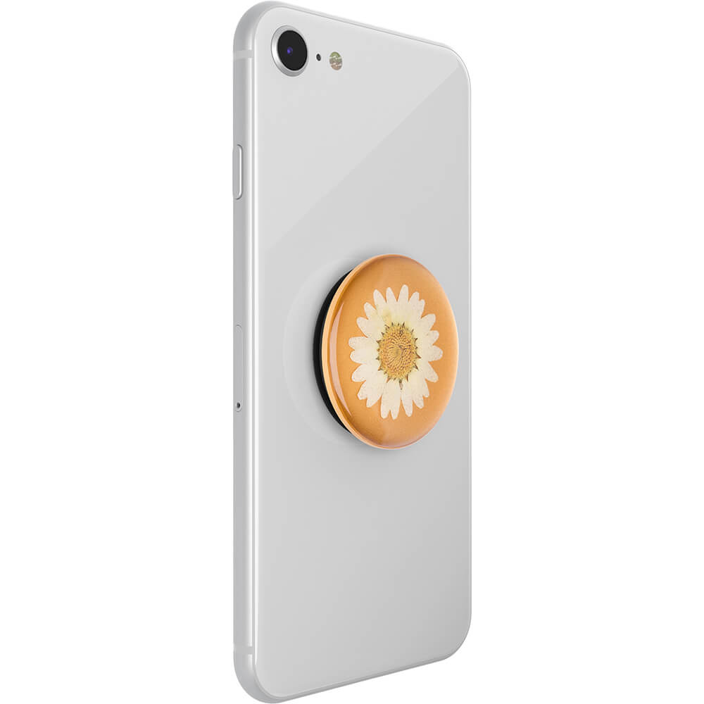 PopSockets PopSockets Avtagbart Grip med Ställfunktion Premium Pressed Flower White Daisy